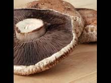 Portobello Mushrooms 