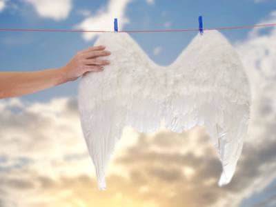 White angel wings