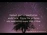 Five Minute Meditation