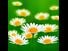 Healing Prayers for Infertility pregnant fertility