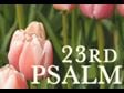 23rd Psalm