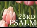 23rd Psalm