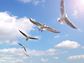 Birds flying