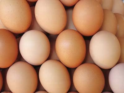 Chicken eggs