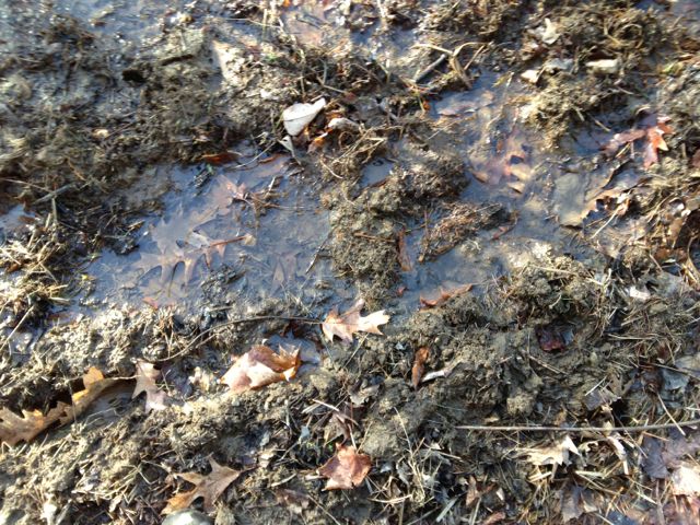 mud-season-lessons-on-impermanence-mindfulness-matters